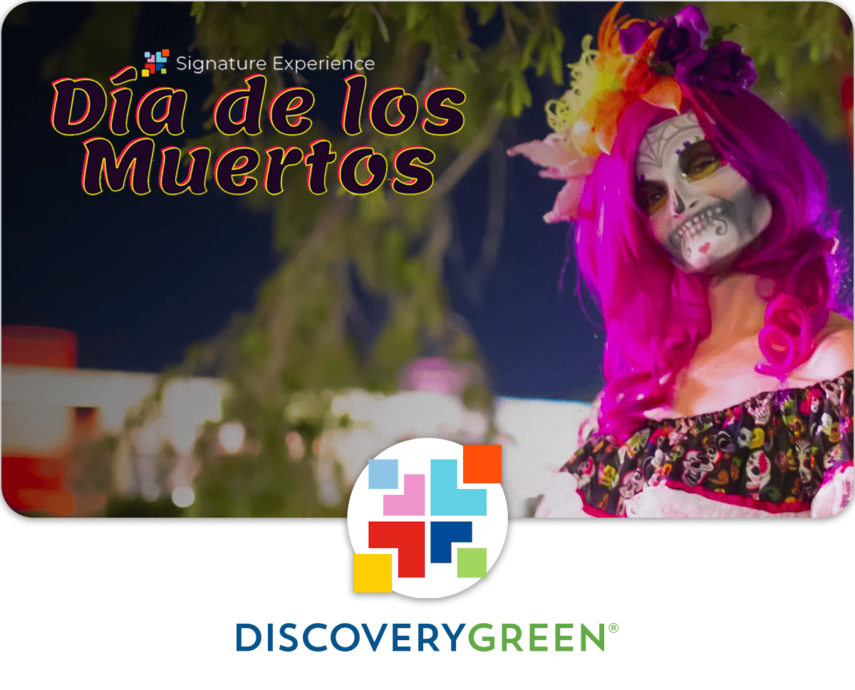 Día de los Muertos skull installation coming to Discovery Green in October  - ABC13 Houston