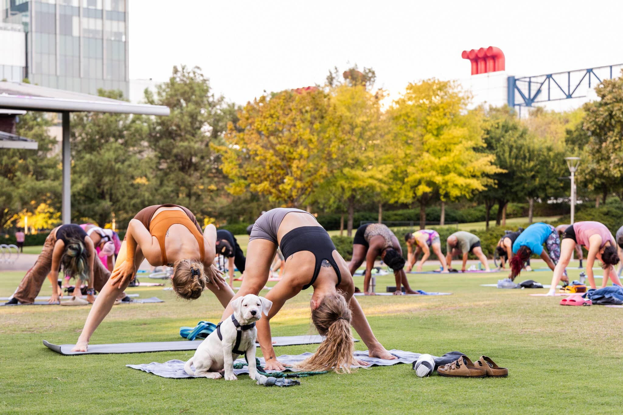 Discovery Green - Tuesday Gentle Yoga Flow and Sound Meditation