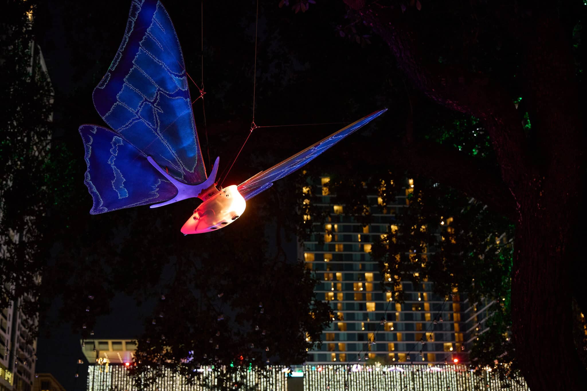 ATLAS by Jen Lewin, 2024. Mandatory photo credit: Nicki Evans. Mandatory caption: ATLAS by Jen Lewin, 2024 at Discovery Green Nov 15, 2024 – Feb 16, 2025.