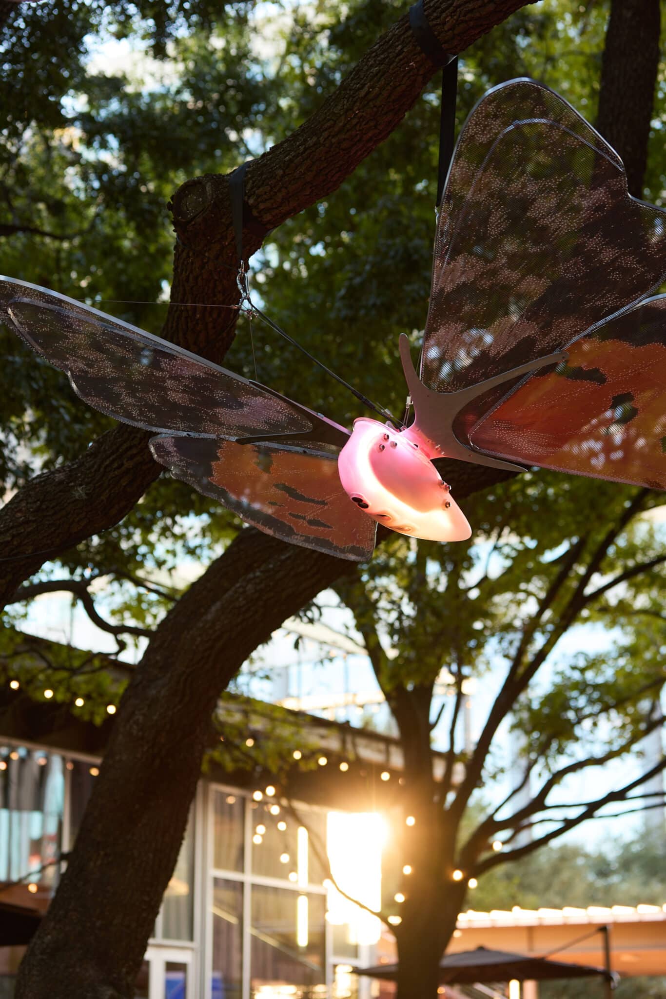 ATLAS by Jen Lewin, 2024. Mandatory photo credit: Nicki Evans. Mandatory caption: ATLAS by Jen Lewin, 2024 at Discovery Green Nov 15, 2024 – Feb 16, 2025.